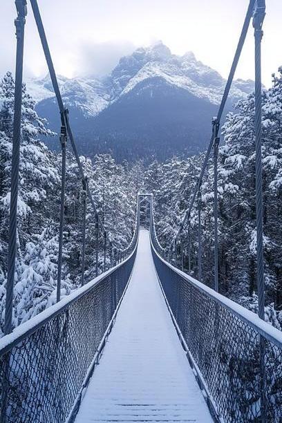 Blue Mountain Suspension Bridge